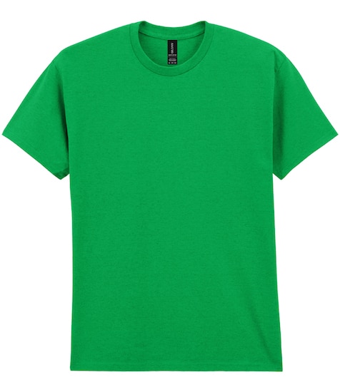 Adult T-Shirt