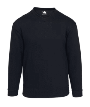 ORN BUZZARD V-NECK NAVY